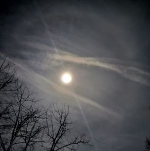 Meet your Posher, Vicki